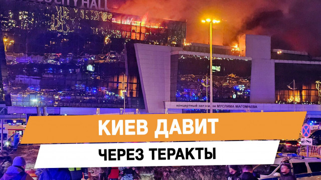 ���� ����� ����� �������