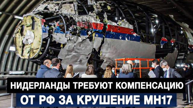 Нидерланды требуют компенсацию от РФ за крушение MH17