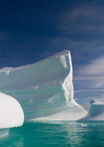 Арктика: экологи отрабатывают заказ корпораций