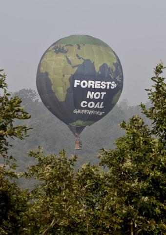 Индия дала Greenpeace от ворот поворот