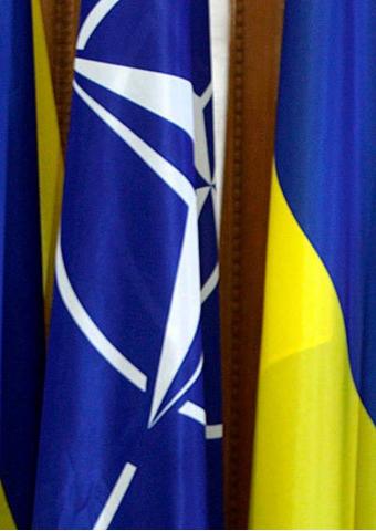 Страсти по НАТО: желания Украины не совпадают с реальностью
