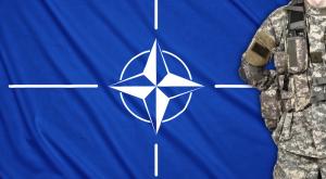 Foreign Policy: НАТО теряет чувство реальности и совершает неразумные поступки