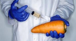 Госдума может запретить выращивание ГМО