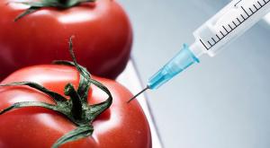  ЛДПР предлагает сажать в тюрьму за сокрытие информации о ГМО в продуктах