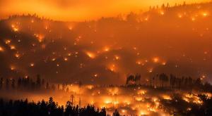 Лесной пожар в Калифорнии разрушил около четырехсот зданий