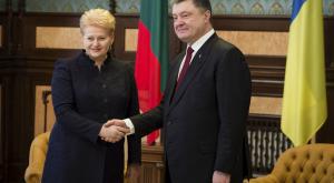 Литовское руководство планирует поставлять Украине оружие