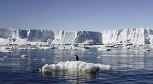 ВМФ России отправит экспедицию в Антарктиду впервые за 30 лет