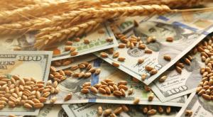 Минсельхоз предложил отменить пошлину на экспорт пшеницы