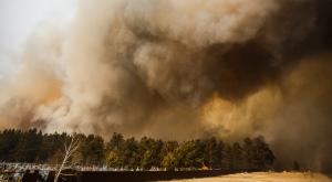 Режим чрезвычайной ситуации введен из-за лесных пожаров в Иркутской области