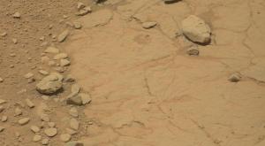 СМИ: на Марсе обнаружен череп динозавра