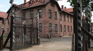 В Германии подозревают 91-летнюю женщину в причастности к 260 тысячам убийств в лагере Аушвиц-Биркенау