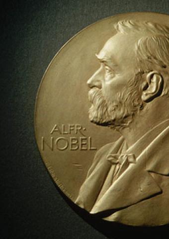 Кому достанется Нобелевская премия Мира в 2015 году?