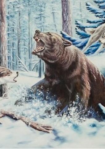 Охота на медведя.